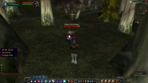 Plagued Lands WoW Classic Quest (Radib Tristle Bear Captured)