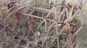 Культиватор КПЭ 3.8 экспресс-обзор от Янина Михаила