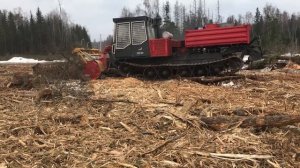 РАБОТАЕМ КРУГЛОСУТОЧНО. РАСЧИСТКА ТЕРРИТОРИИ ПОСЛЕ ВАЛКИ ЛЕСА. АРЕНДА МУЛЬЧЕРА. ОООКОЧЕВНИК.РФ