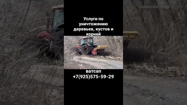 Мульчер в деле крушит деревья и кустарник / Расчистка заросших участков мульчером seppi m/ Услуги