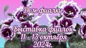 Выставка фиалок 11-13.10.24г. в Доме фиалки (Москва)