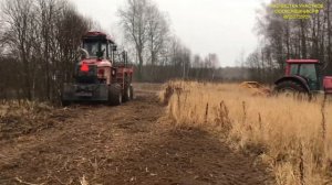 РАСЧИСТКА СЕЛЬСКОХОЗЯЙСТВЕННЫХ ЗАРОСШИХ ПОЛЕЙ ОТ КУСТАРНИКА И МЕЛКОЛЕСЬЯ МУЛЬЧЕРОМ ДЕСНА ПОЛЕСЬЕ 280
