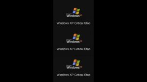 Windows XP Has A Sparta Extended Remix