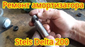 Полная разборка, сборка и ремонт, заднего амортизатора, мотоцикла Stels Delta 200.