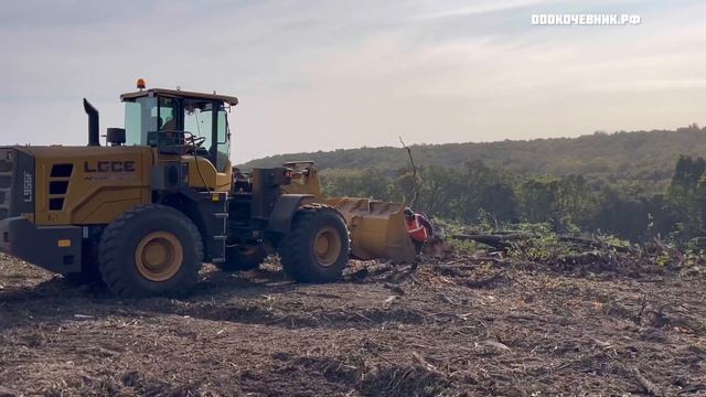 Рубим лес в горной местности с высоким уровнем сложности. Мульчируем  мульчером Prime Tech PT-300.