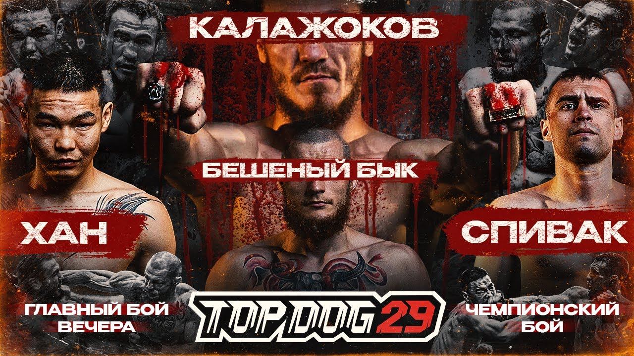 Калажоков VS Бешеный Бык, Хан VS Спивак | Главный Бой Вечера, Чемпионский Бой | TOP DOG 29