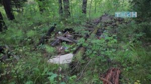 Что с полигоном для ТКО