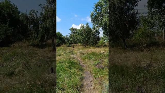 Кот ДАО смотреть онлайн