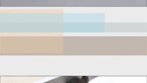 Кролик Серый великан зимой