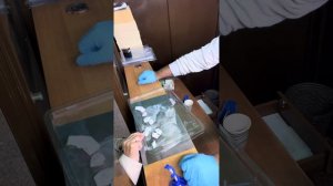 Оценка монет Магазин Нумизмат на Таганке гончарный проезд дом 8/40