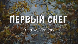 Музыка природы первый снег - погружение в красоту сезона