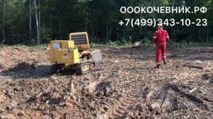 ДРОБЛЕНИЕ ПНЕЙ В ГЛУБИНУ 40 СМ