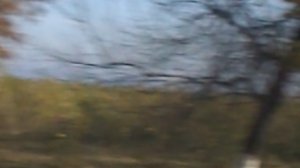 DSCN3427Северная Осетия Цейское ущелье октябрь 2020