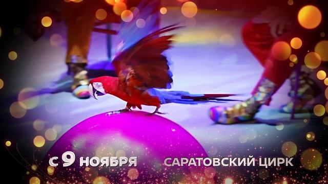 Яркое цирковое шоу «БАЛАГАН» в Саратовском цирке!
