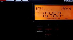 #КыштовкаТВ #tecsun #pl660 Радиохулиганы на 10460 кГц