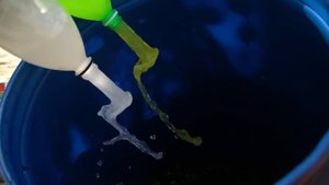 Попробуйте Coca-Cola, Fanta, Sprite, Mtn Dew, Orbeez и многие другие газированные напитки против Men