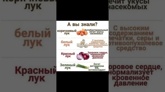 КАКОЙ ЛУК 🧅 ПОЛЕЗНЫЙ #заботаосебе #здоровыйобразжизни #народнаямедицина #питание #заздоровье
