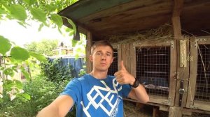 НА ПЛЕМЯ ИЛИ НА МЯСО? Вечный вопрос новичков