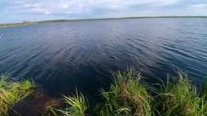 Съездил проверил одно озеро и на дубасил окуней.  начало июня 2022г