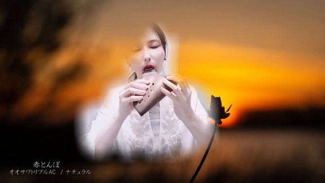 赤とんぼ(Arranged)//オカリナとピアノ//Yamada Kosaku//Ocarina//Piano//Japanese song//