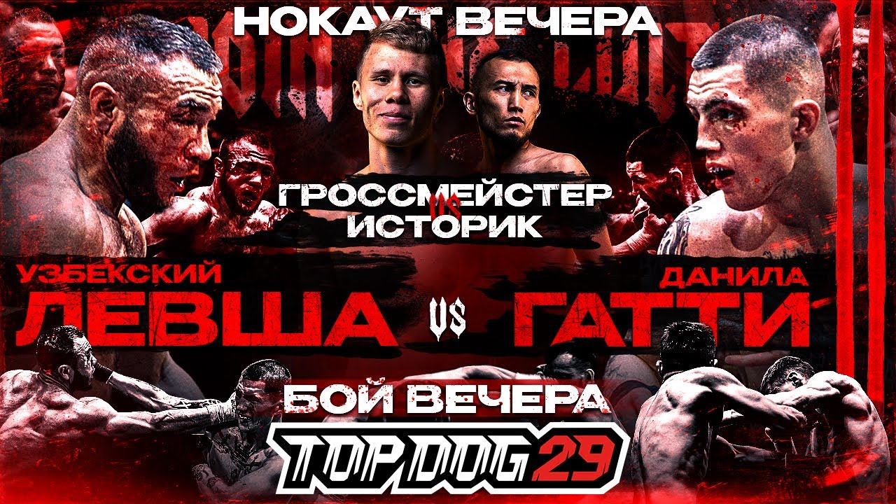 Гатти VS Узбекский Левша 2, Гроссмейстер VS Историк | Бой Вечера, Лучший Нокаут | TOP DOG 29