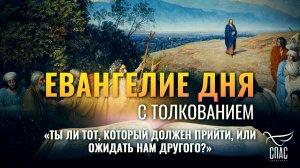 «ТЫ ЛИ ТОТ, КОТОРЫЙ ДОЛЖЕН ПРИЙТИ, ИЛИ ОЖИДАТЬ НАМ ДРУГОГО?» / ЕВАНГЕЛИЕ ДНЯ
