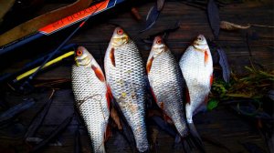 Боковой кивок штука тонкая