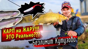 Безлимит Кутузово | Jara baits Boxter ловит все | Начало осеннего сезона ловли форели