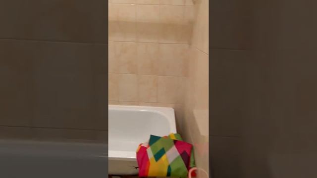 Долгожданная двушка. Принимаем #агентанечка #агентпонедвижимостиспб