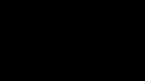Tutorial de como baixar o Transmission no Windows 11 (2022)