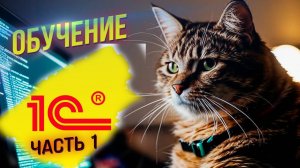 Учимся программировать в 1С: от основ до профессионального уровня. Часть 1