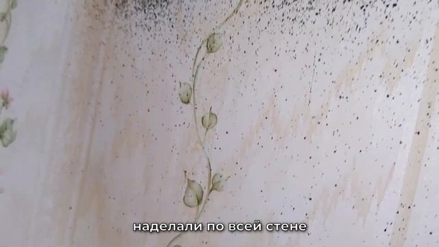 Где еще можно и нужно искать гнезда клопов в квартире, или клоповьи 