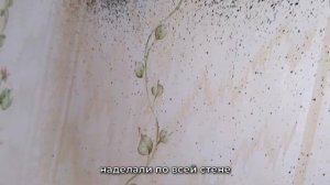 Где еще можно и нужно искать гнезда клопов в квартире, или клоповьи "острова" не на кровати.