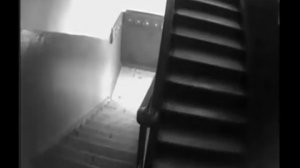 Внимание, розыск!