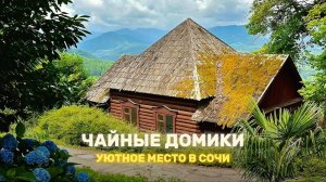 Тихое и спокойное место в Сочи