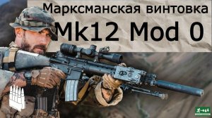 Самая результативная марксманская винтовка МАРК-12/ Garand Thumb / русская озвучка.