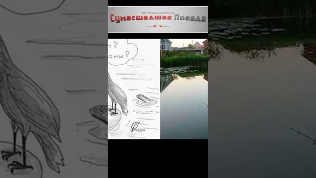 Приметы на погоду #Объяснение приметы#почему#интересно#птицы#примета#познавательно#