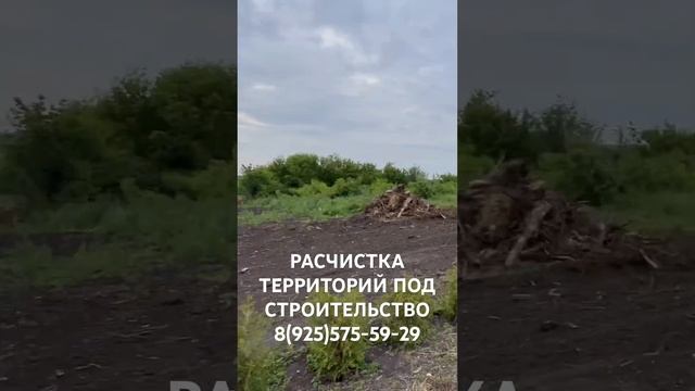 РАСЧИЩАЕМ ТЕРРИТОРИИ ОТ ДЕРЕВЬЕВ И КОРНЕЙ ПОД СТРОИТЕЛЬСТВО. МУЛЬЧЕР ГУСЕНИЧНЫЙ.ЭКСКАВАТОР.ПИЛЬЩИКИ.