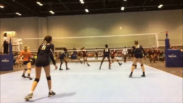 Morgan Tayler Allen Libero # 21 Highlights смотреть онлайн