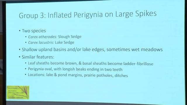 Prairie Pothole Wetlands: Reconstructing Vegetation from Roadside Surveys смотреть онлайн