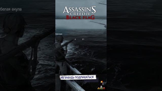 Это Была Акула - Assassin's Creed 4 Black Flag #shorts #ajieksey24 #assassinscreed #ac4  #черныйфлаг