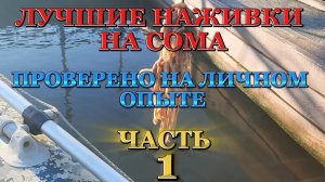 ЛУЧШИЕ наживки на СОМА! Первая часть!