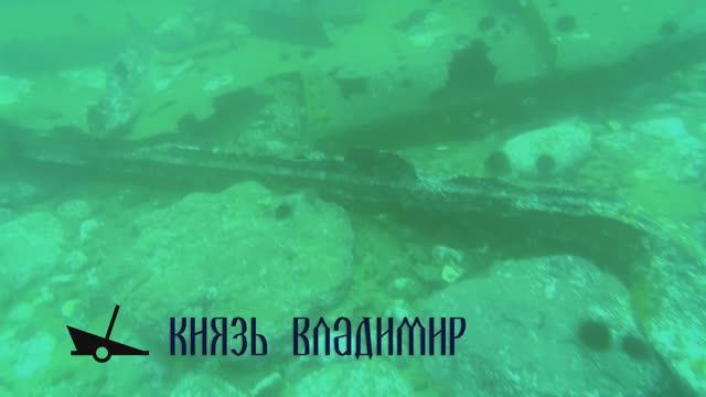 Дайвинг в Японском море с ДЭМ Клубом. Рэк Князь Владимир