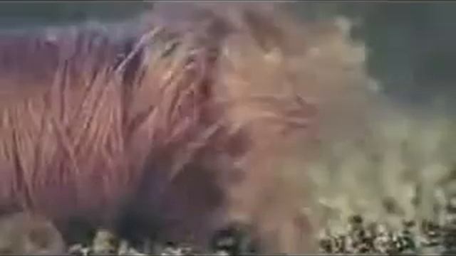 Урок №8 (4) смотреть онлайн