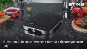 Электрическая индукционная плита STINGRAY ST-HP3501B