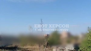 Российский воин сбивает из ПЗРК вражеский разведывательный БпЛА "Лелека-100"