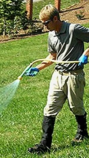 Жидкая подкормка газона под осень.