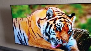 75' (190 см) TV IFFALCON 75H720 QLED. Android TV
