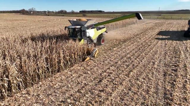 Corn Harvest 2022