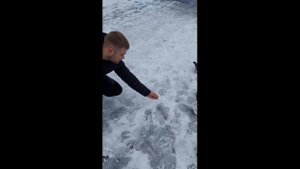Как выжить в диких условиях.
